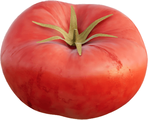Tomate